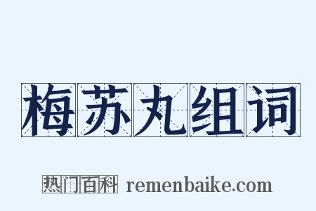 梅苏丸组词是什么意思的图片